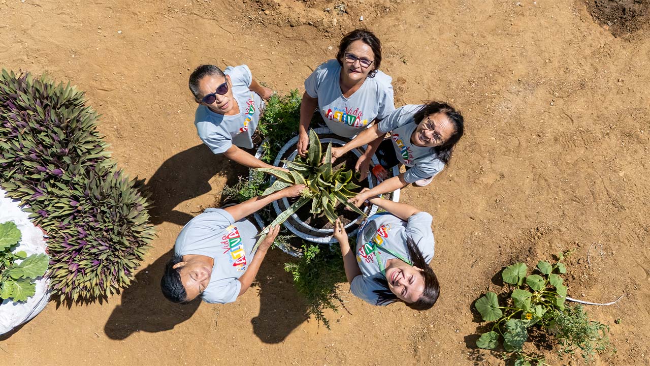 Desenvolvimento comunitário